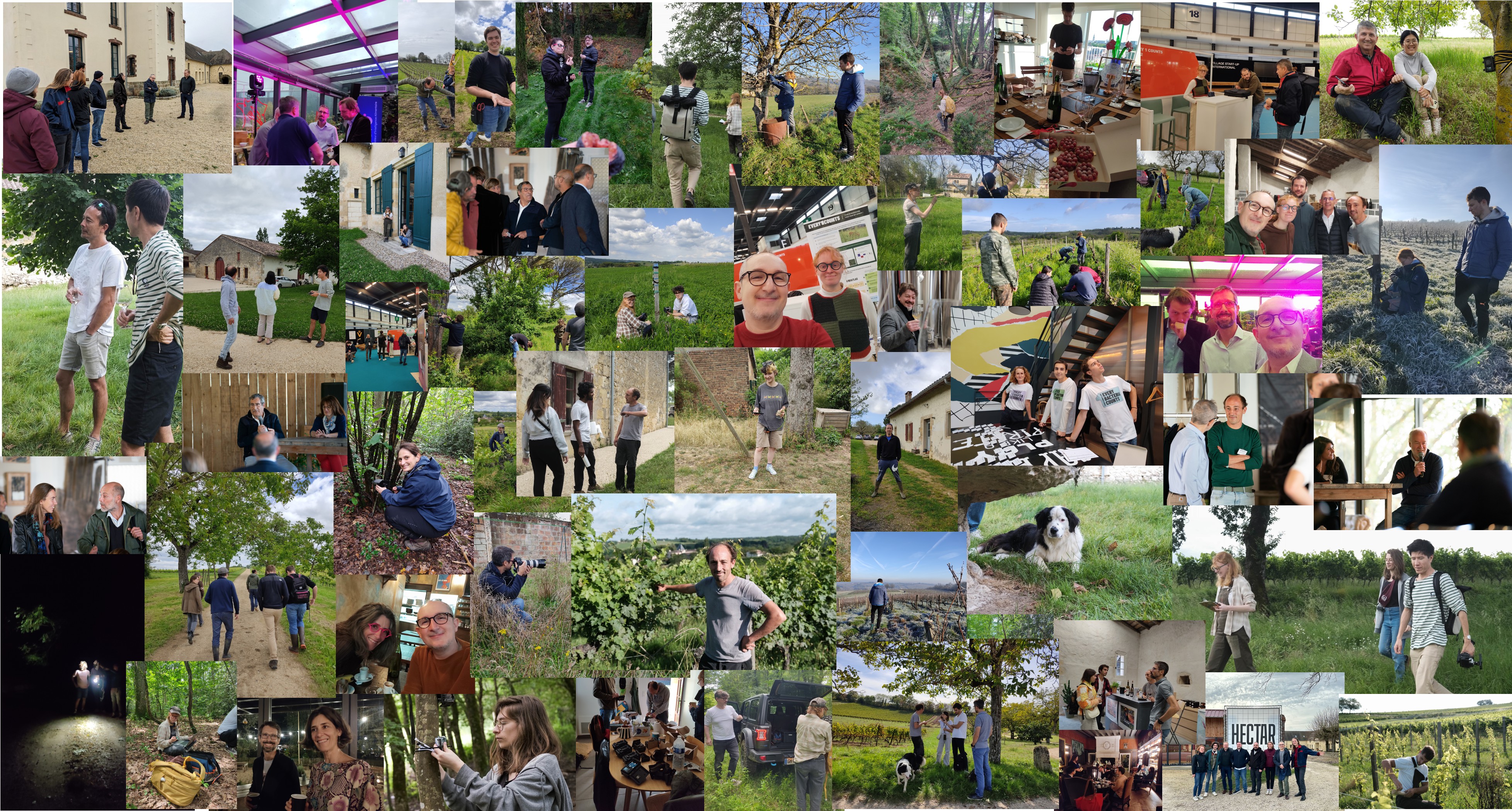 The Every1Counts collective sur le terrain
